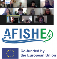 Online Meeting of AFISHE Coordination Team with EACEA Project Officer