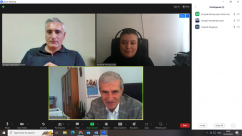 Online Meeting within AFISHE Project